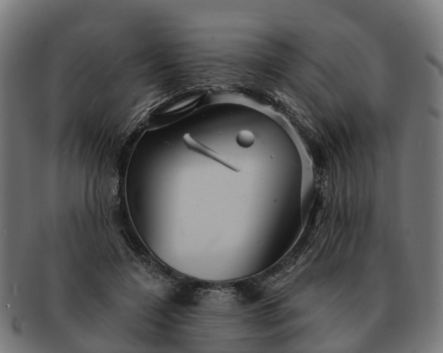 X0000091330548200708241203