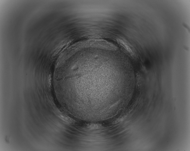 X0000091330549200708241203