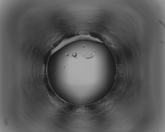 X0000091330550200708241203