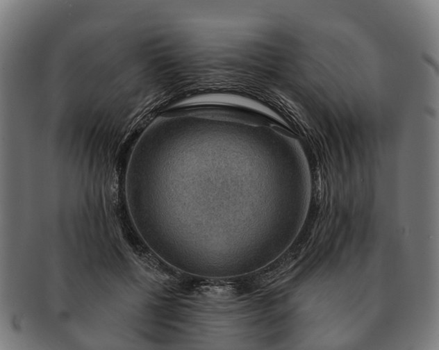 X0000091330552200708241203