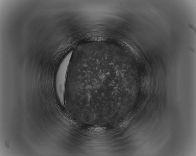 X0000091330553200708241203