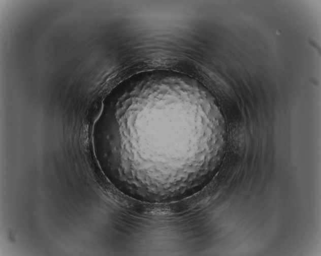 X0000091330554200708241203