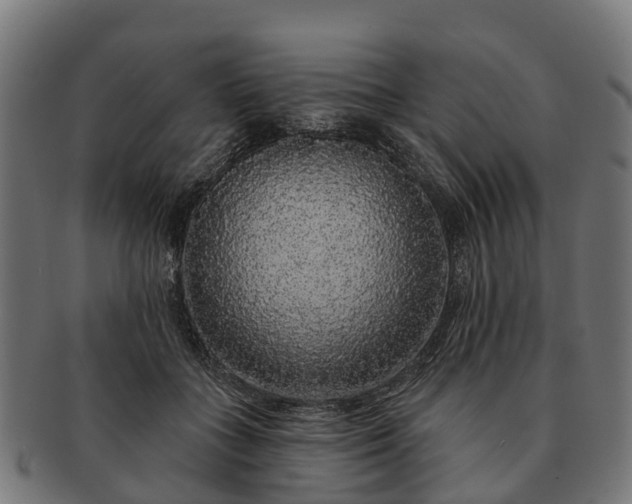 X0000091330555200708241203