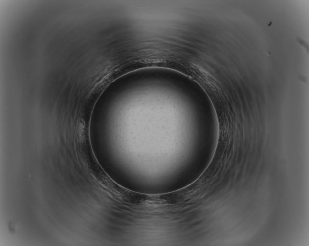 X0000091330556200708241203