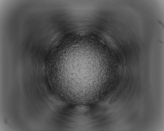 X0000091330557200708241203