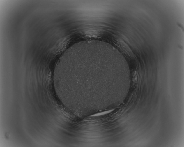 X0000091330559200708241203