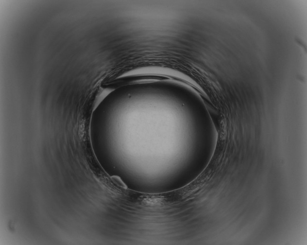 X0000091330560200708241203