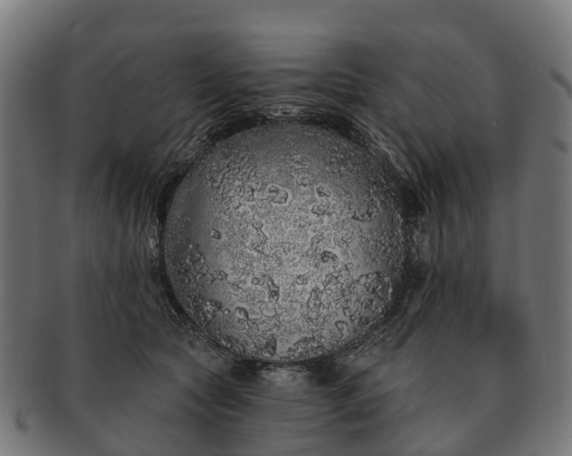 X0000091330561200708241203