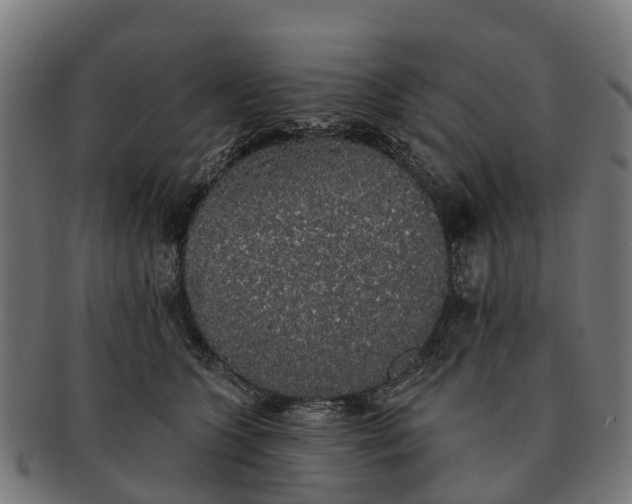 X0000091330563200708241203