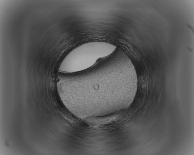 X0000091330564200708241203