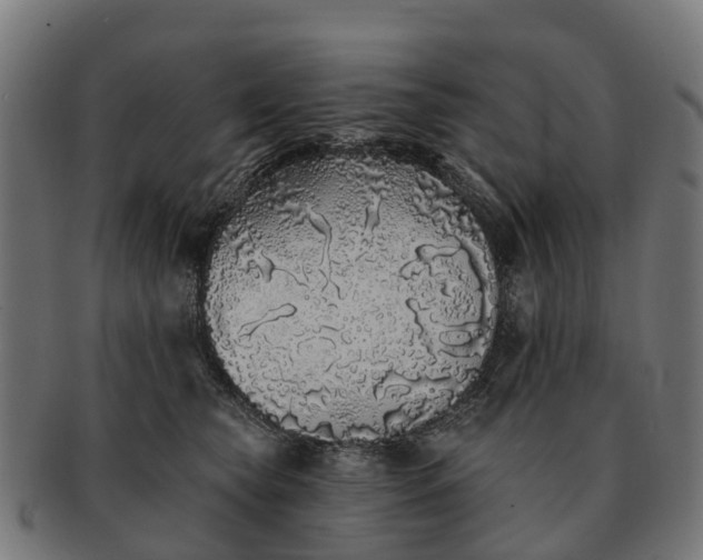 X0000091330565200708241203