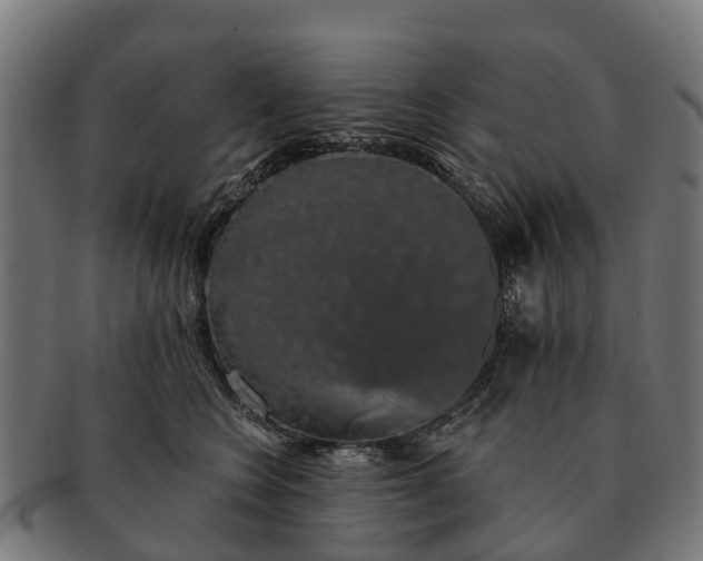 X0000091330566200708241203