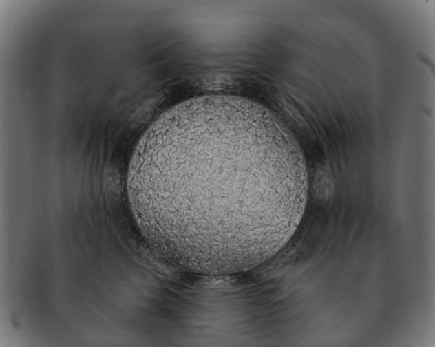 X0000091330569200708241203