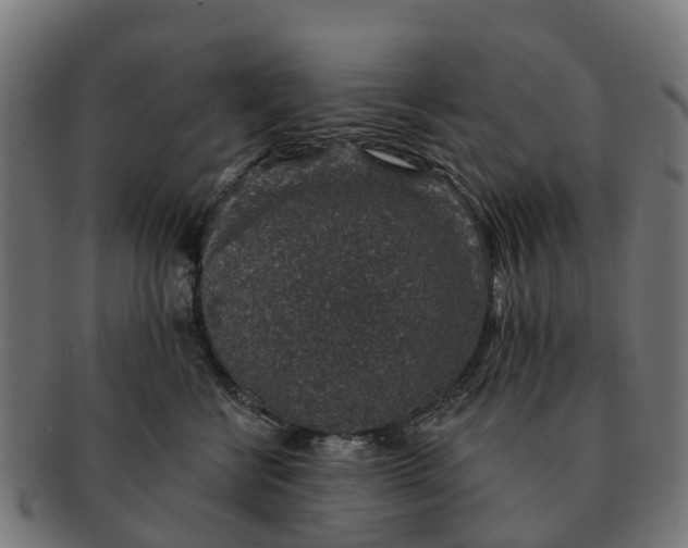 X0000091330570200708241203