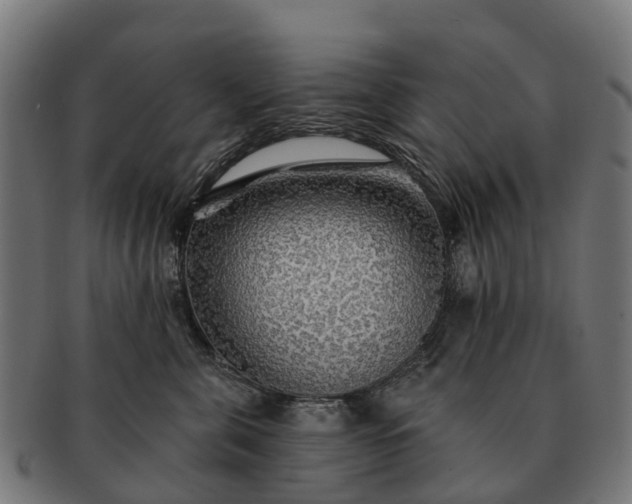 X0000091330571200708241203