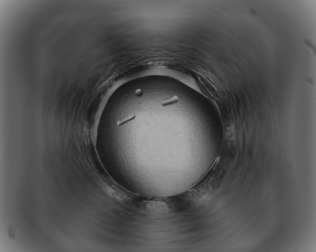 X0000091330572200708241203