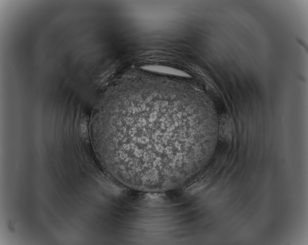 X0000091330573200708241203