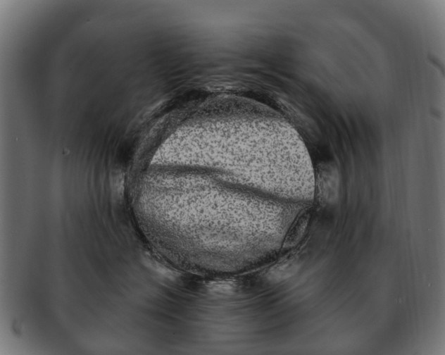 X0000091330574200708241203