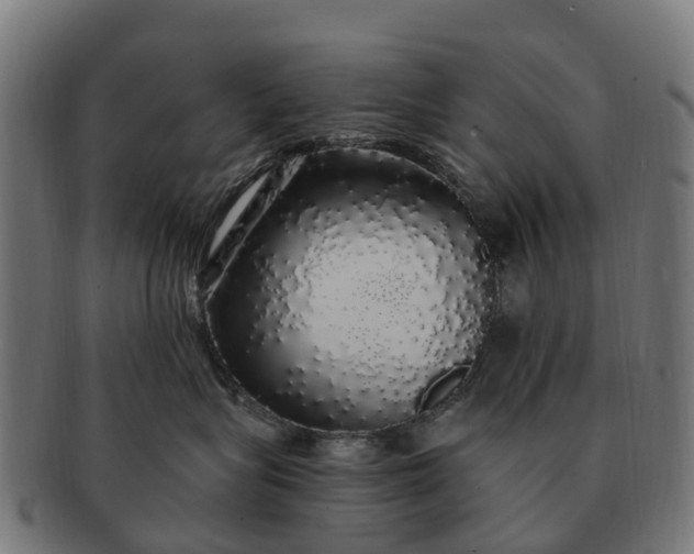 X0000091330575200708241203