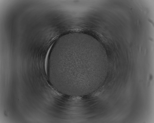 X0000091330576200708241203