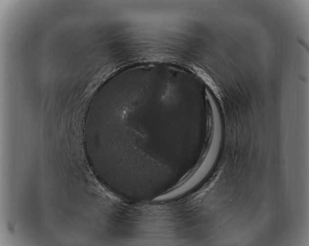 X0000091330577200708241202