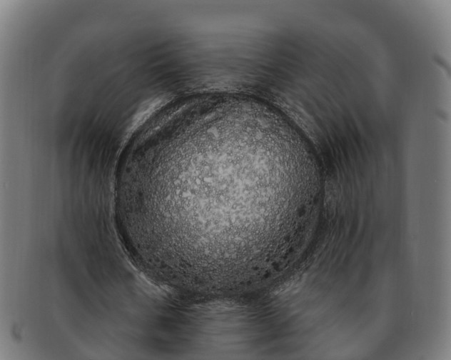 X0000091330578200708241202