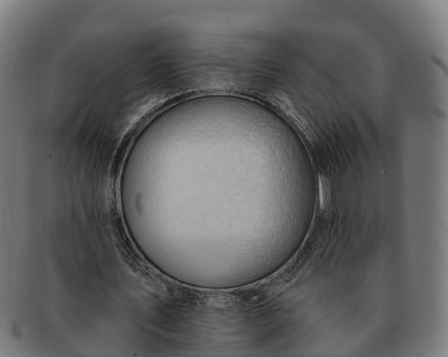 X0000091330579200708241202