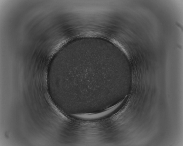 X0000091330581200708241202