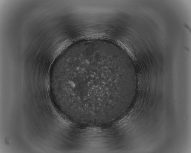 X0000091330582200708241202