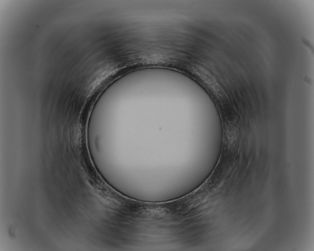 X0000091330583200708241202