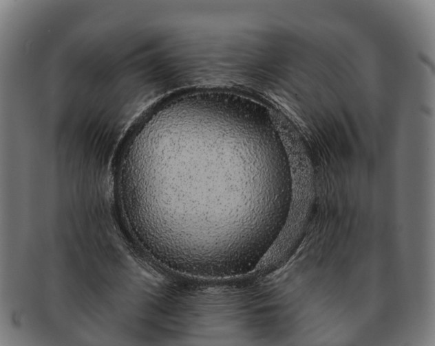 X0000091330584200708241202