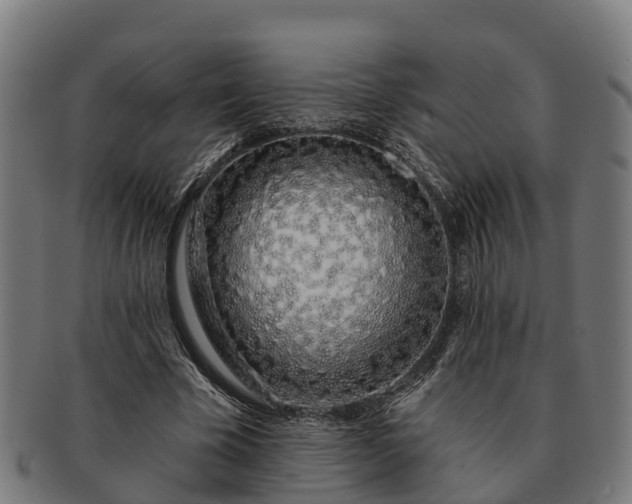 X0000091330585200708241202