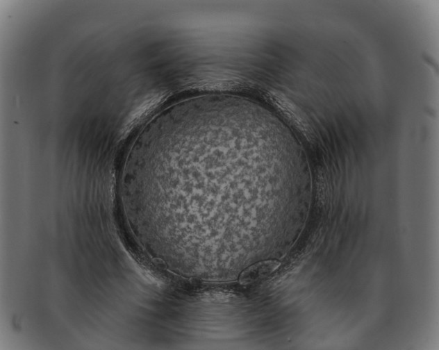 X0000091330586200708241202