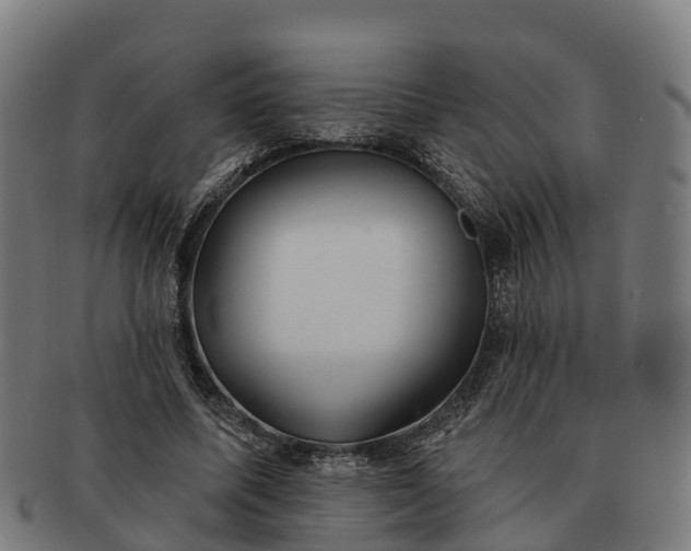 X0000091330587200708241202