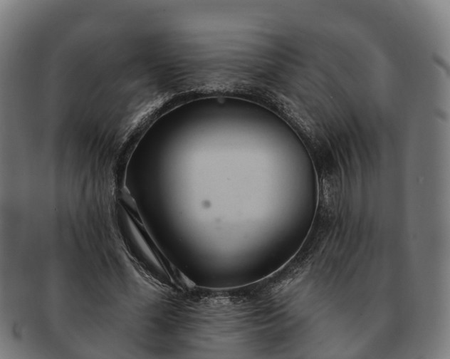 X0000091330588200708241202