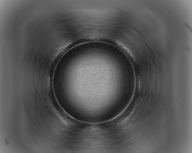 X0000091330589200708241202