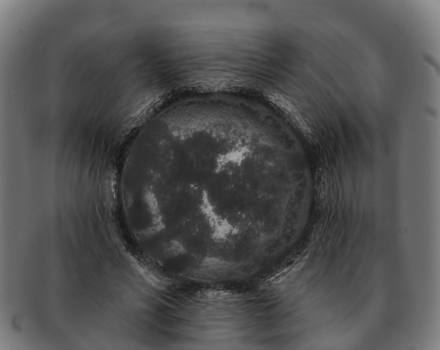 X0000091330590200708241202