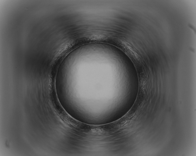 X0000091330591200708241202