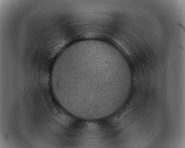 X0000091330592200708241202