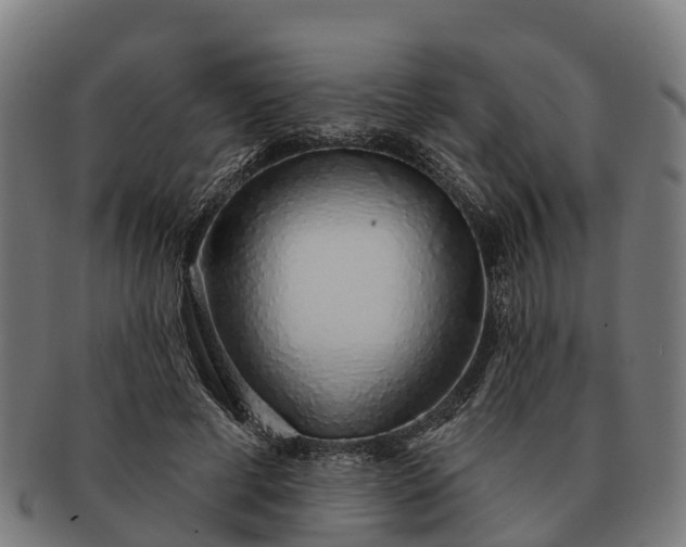 X0000091330593200708241202