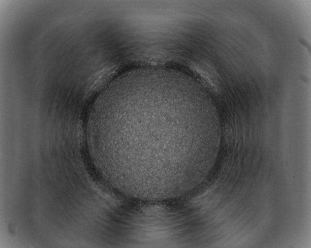 X0000091330594200708241202