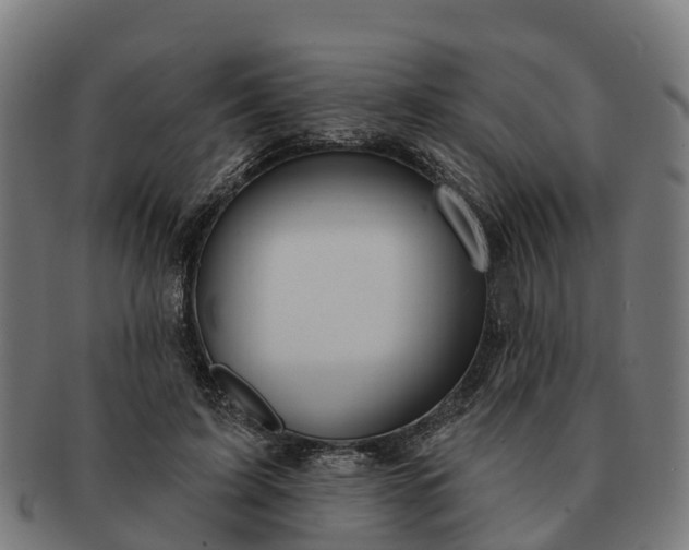 X0000091330595200708241202