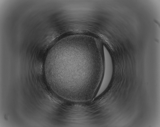 X0000091330596200708241202