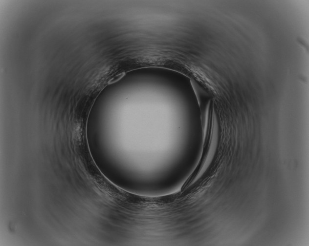 X0000091330597200708241202