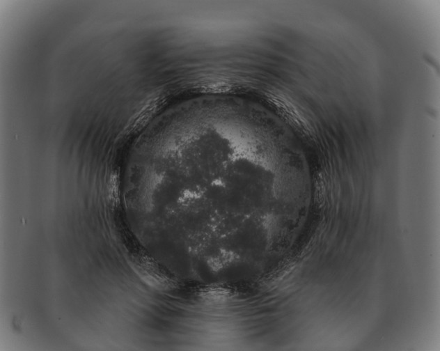 X0000091330598200708241202