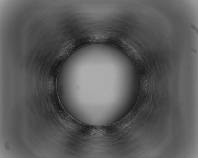 X0000091330599200708241202