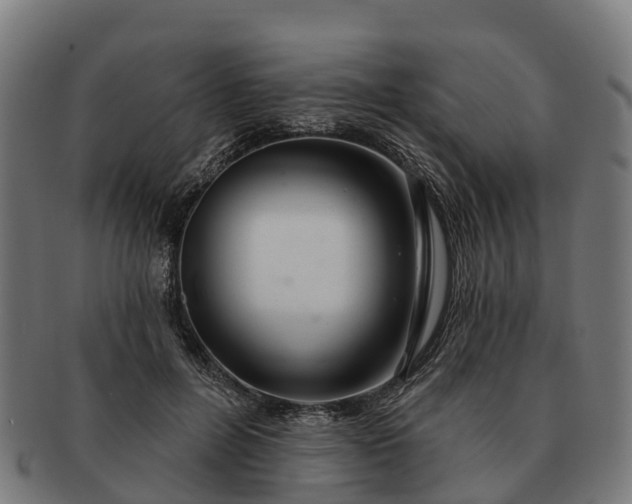 X0000091330600200708241202