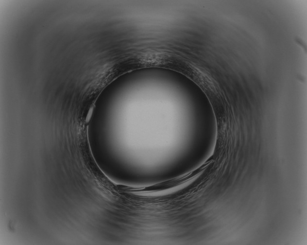 X0000091330601200708241202