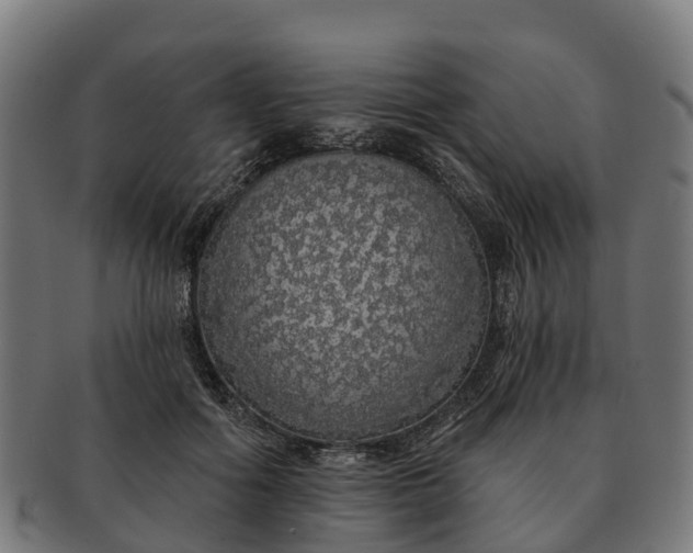 X0000091330602200708241202