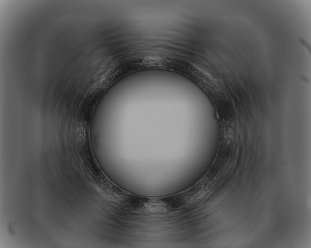 X0000091330603200708241202